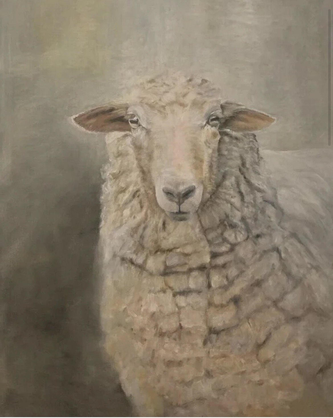 The sheep